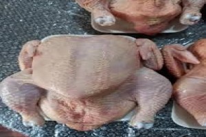 Dressed and live chickens from Cameroon